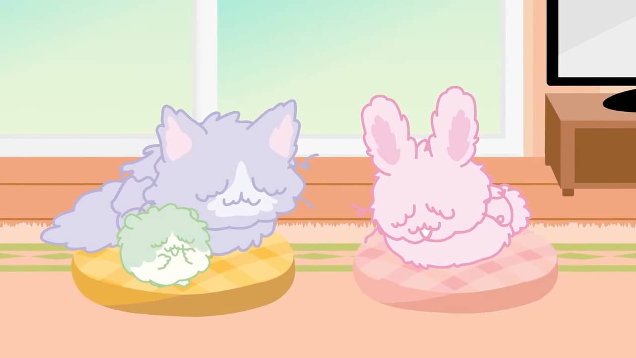 Bosanimal backdrop