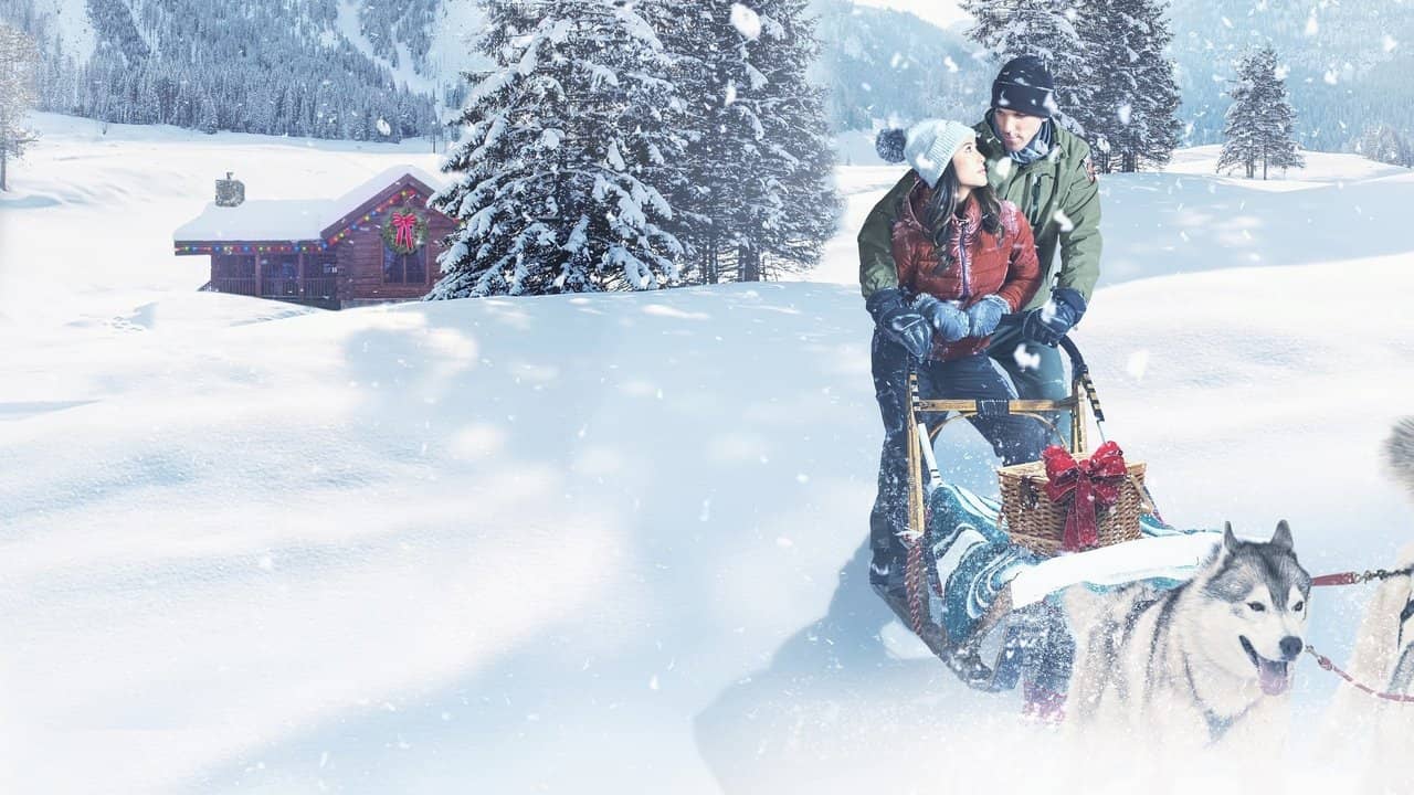 Christmas in the Wilds backdrop