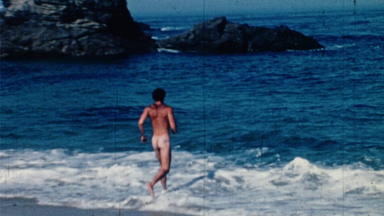 Big Sur Gay Porn backdrop