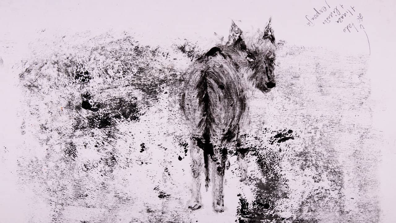 decay backdrop