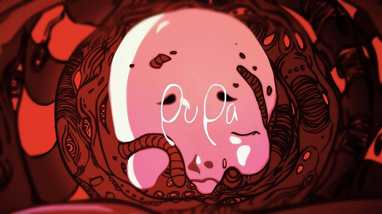 Pupa backdrop