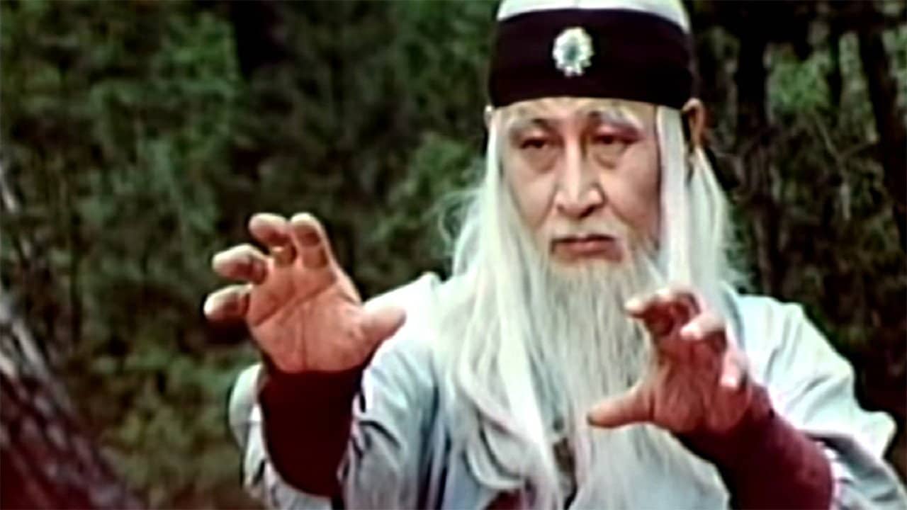The Divine Martial Arts Of Dharma backdrop