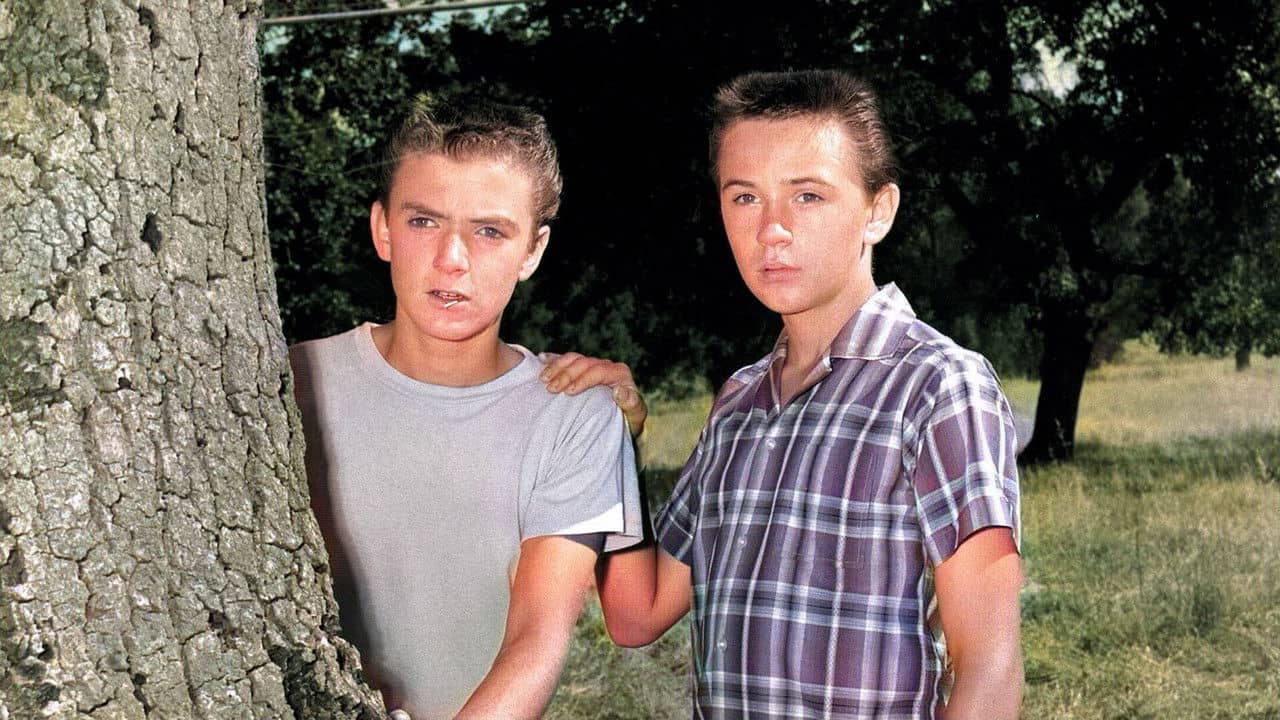 The Hardy Boys backdrop