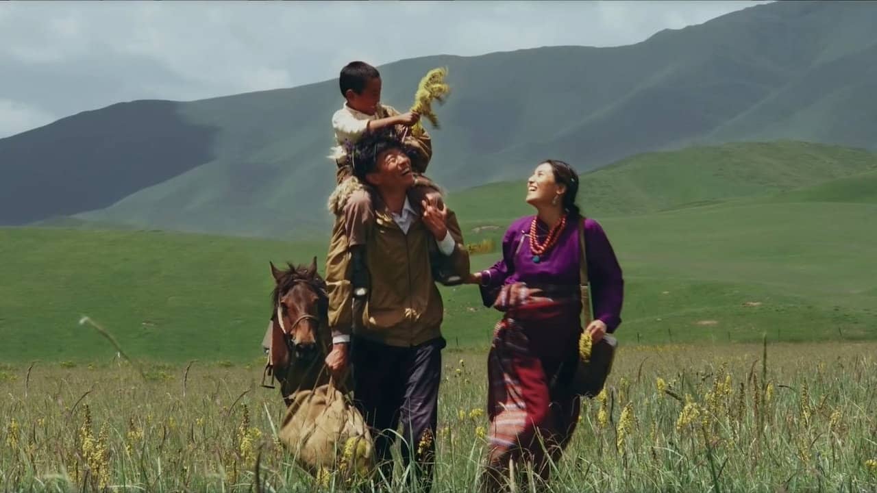 A Blossom of Love in Gannan backdrop