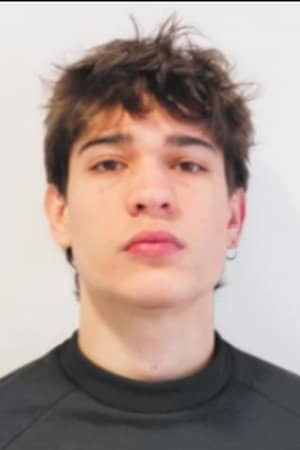 Theo Amaral
