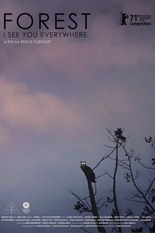 Forest: I See You Everywhere