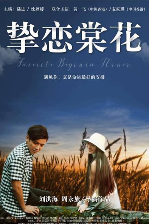 Favorite Begonia Flower