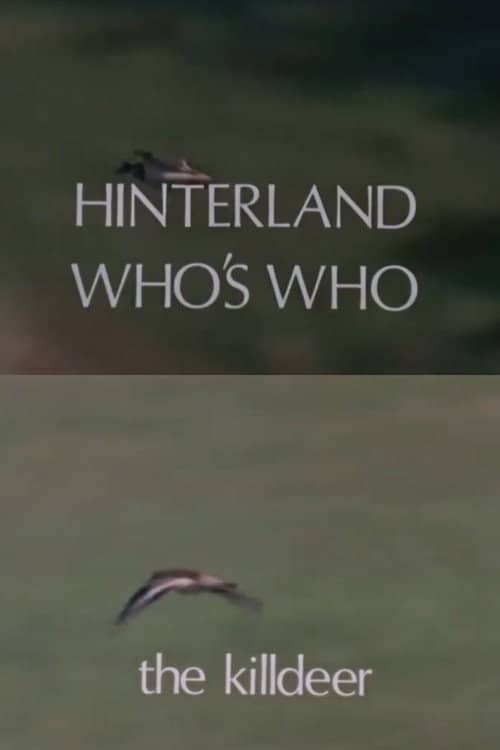 Hinterland Who's Who: Killdeer