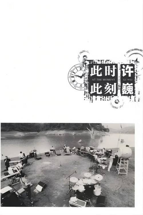 许巍:此时此刻 纪录片