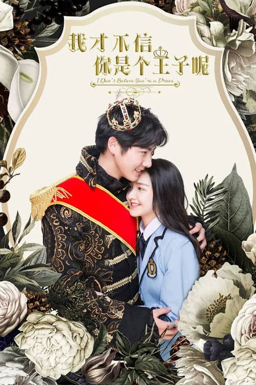 I Don't Believe You're a Prince