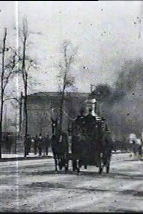 Chicago Fire Department Runs