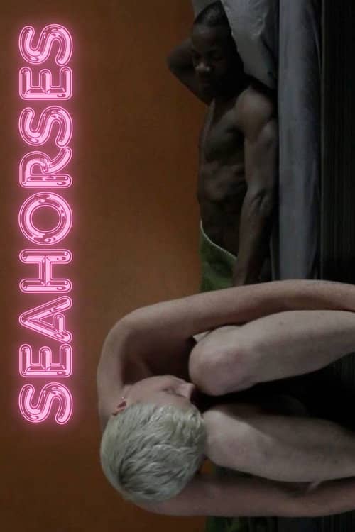 Seahorses