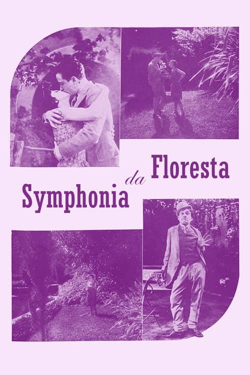 Sinfonia da Floresta