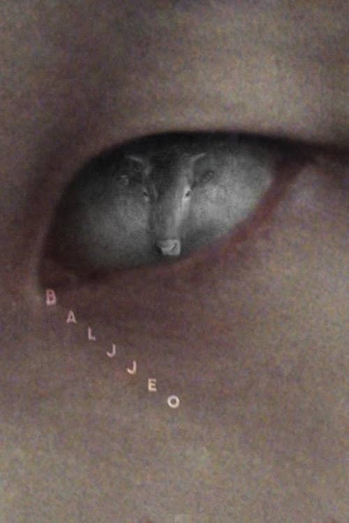 Baljjeo