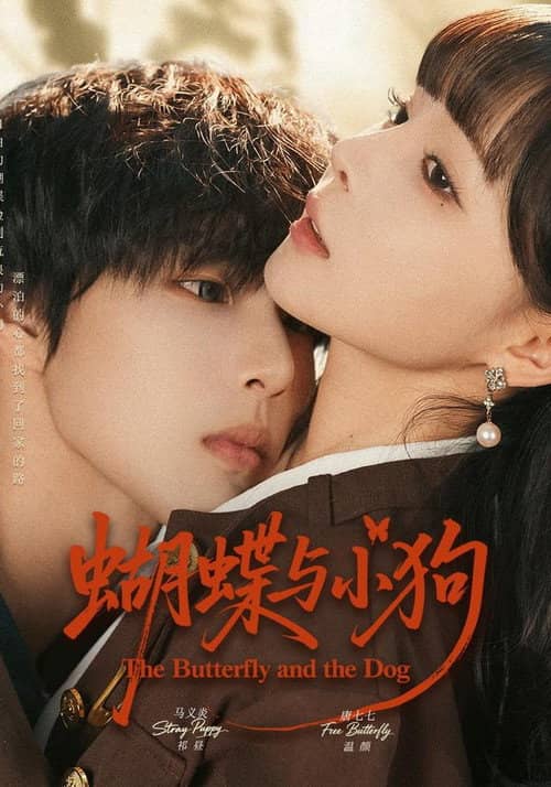 蝴蝶与小狗