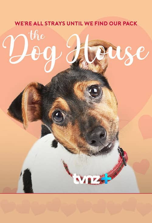 The Dog House NZ