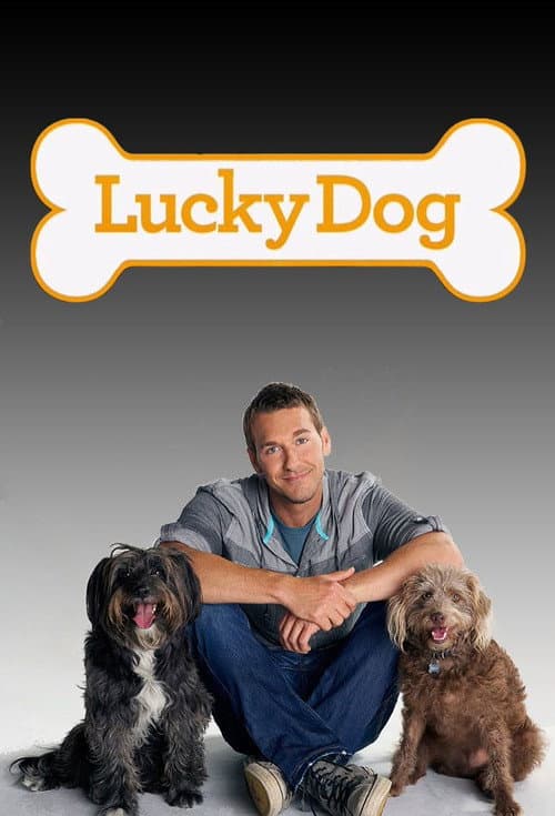 Lucky Dog Season 3 poster