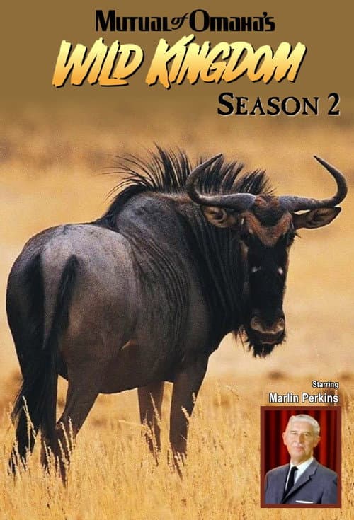 Mutual of Omaha's Wild Kingdom Season 2 poster