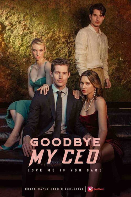 Goodbye, My CEO Season 1 poster