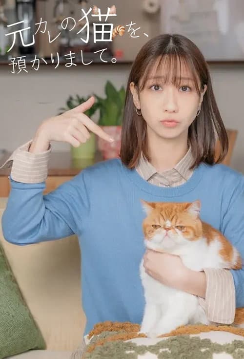 I’m Taking Care of My Ex’s Cat. Season 1 poster