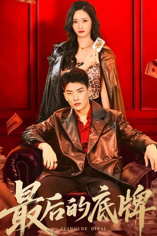 最后的底牌 Season 1 poster