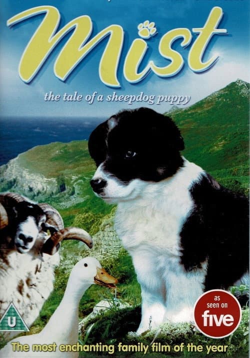Border Collie Sheepdogs – Off Duty! Season 1 poster
