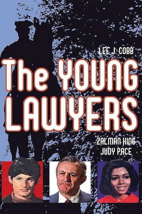 The Young Lawyers Season 1 poster