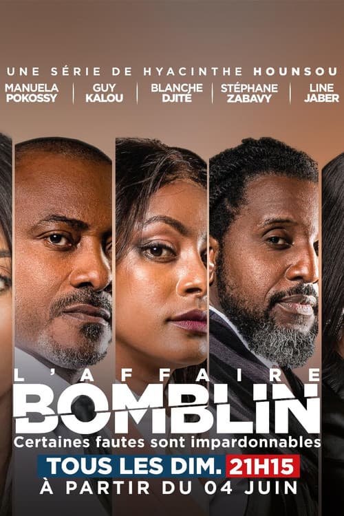 L'affaire Bomblin Season 1 poster