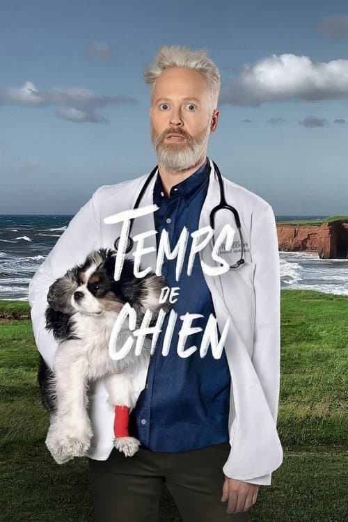 Temps de chien Season 3 poster