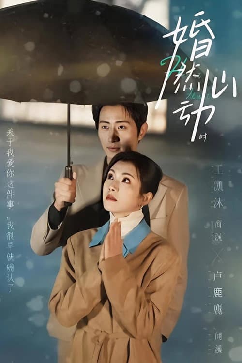 婚然心动时 Season 1 poster