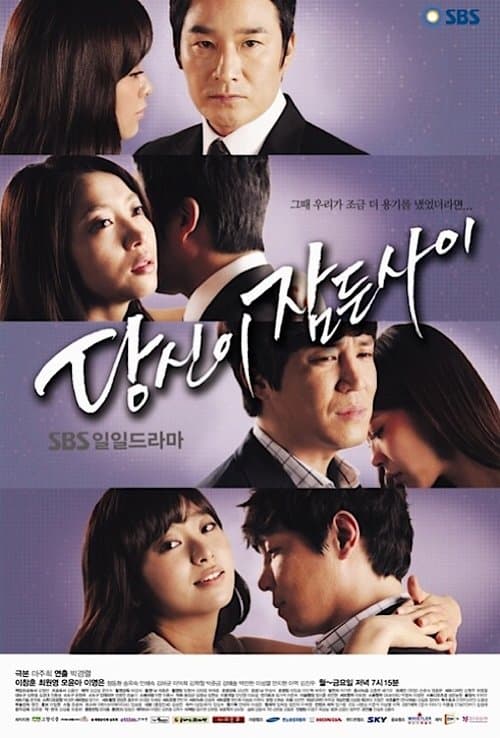 While You Were Sleeping Season 1 poster