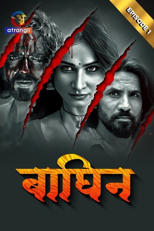 Baghin Season 1 poster