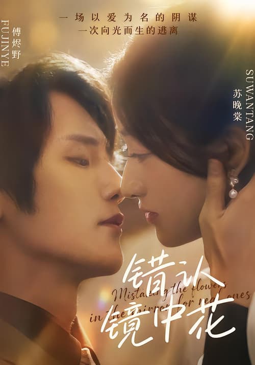 错认镜中花 Season 1 poster