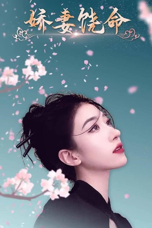 娇妻饶命 Season 1 poster