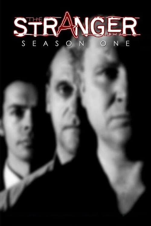 The Stranger Season 1 poster
