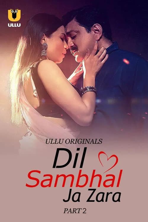 Dil Sambhal Ja Zara Season 1 poster