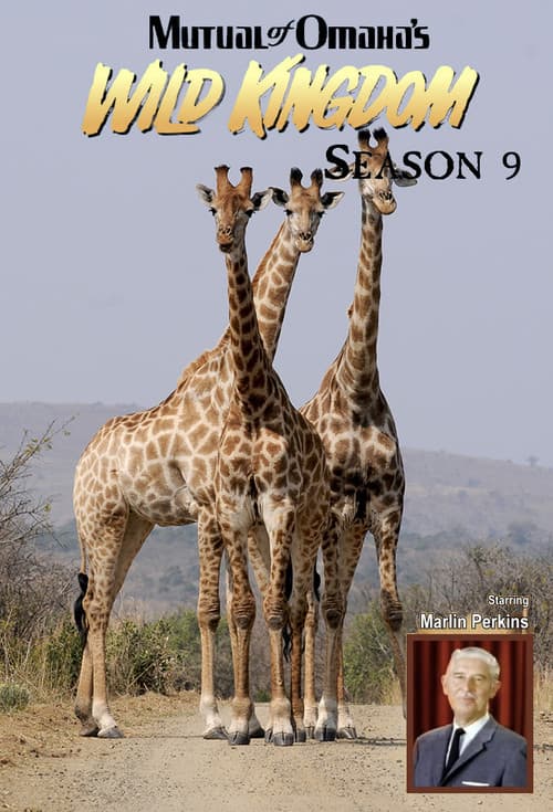 Mutual of Omaha's Wild Kingdom Season 9 poster