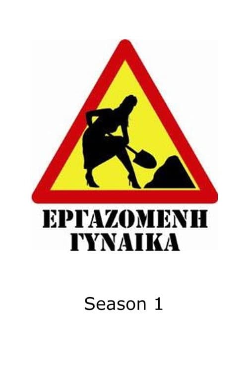 Working Woman Season 1 poster