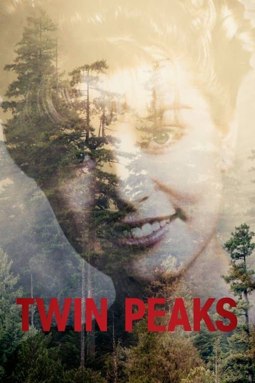 Twin Peaks The Return poster
