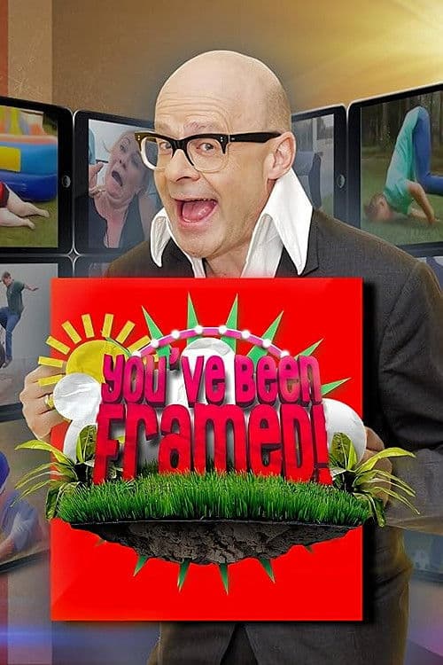 You've Been Framed! You've been framed season 2 poster
