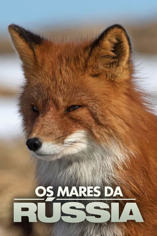Russia's Wild Sea Season 1 poster