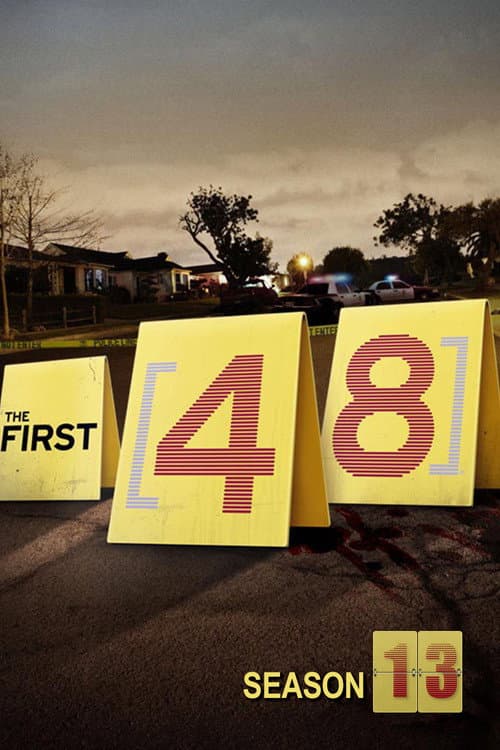 The First 48 Season 13 poster