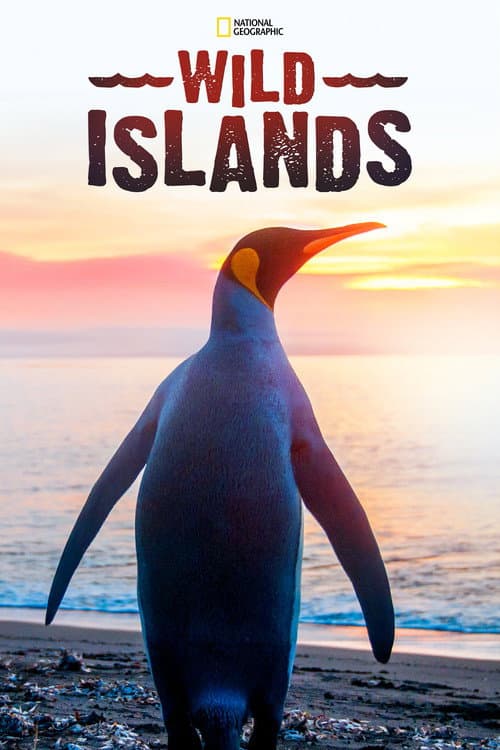Wild Islands Season 1 poster