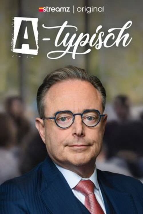 A-typisch Season 1 poster