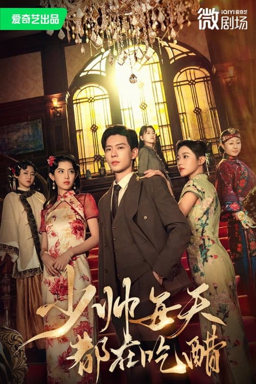 少帅每天都在吃醋 Season 1 poster