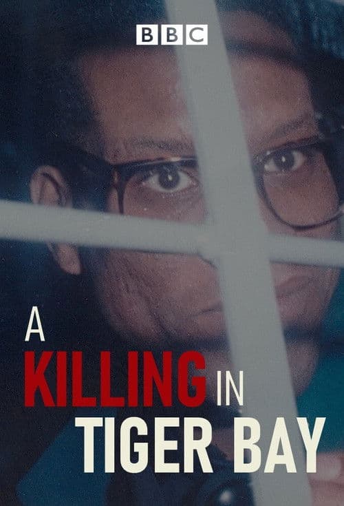 A Killing in Tiger Bay Season 1 poster