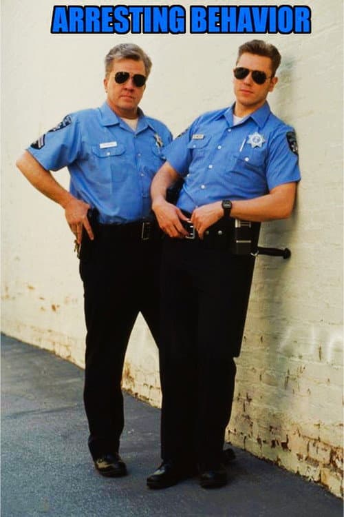 Arresting Behavior Season 1 poster