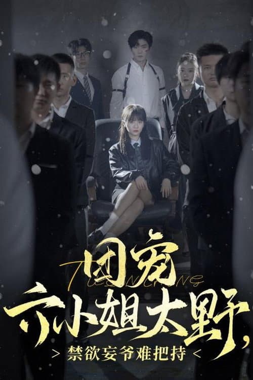 团宠六小姐太野，禁欲妄爷难把持 Season 1 poster
