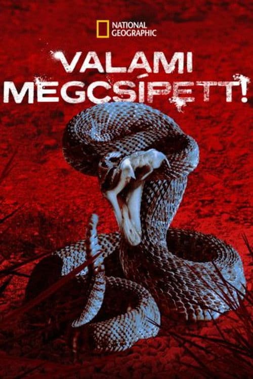I Was Bitten Season 1 poster