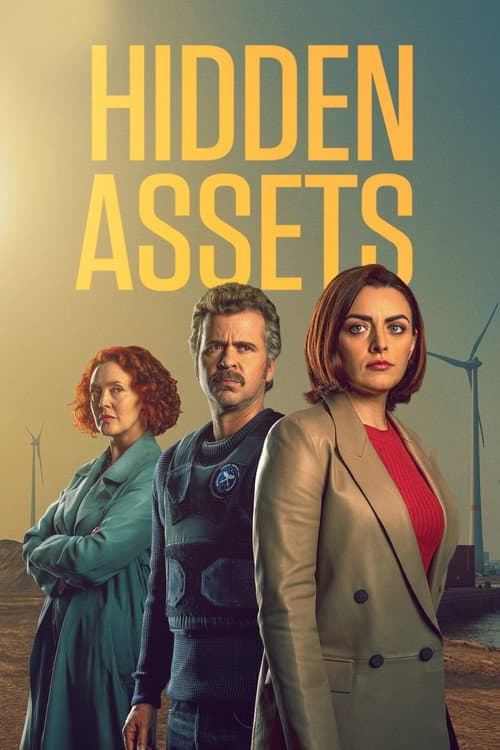 Hidden Assets Series 2 poster